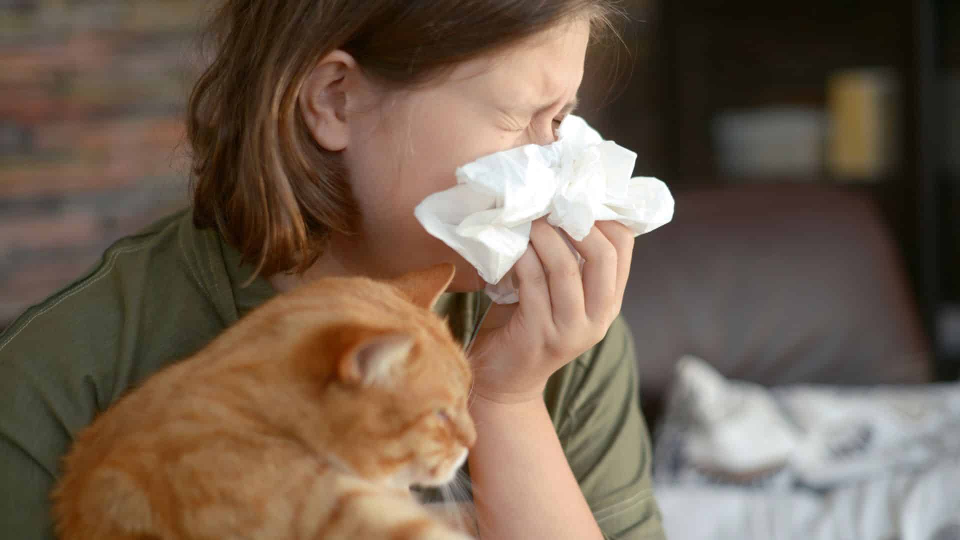 Eine Frau sitzt neben einer roten Katze. Die Frau muss niesen und putzt sich die Nase