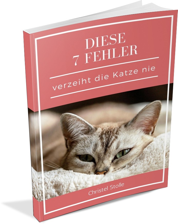 ebook Generationenbeziehungen im Wohlfahrtsstaat 2008 ebook Generationenbeziehungen im